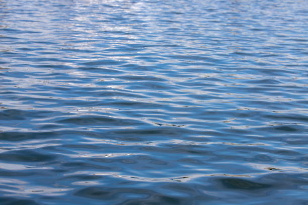 istock surface of blue water - sea background 1350442360