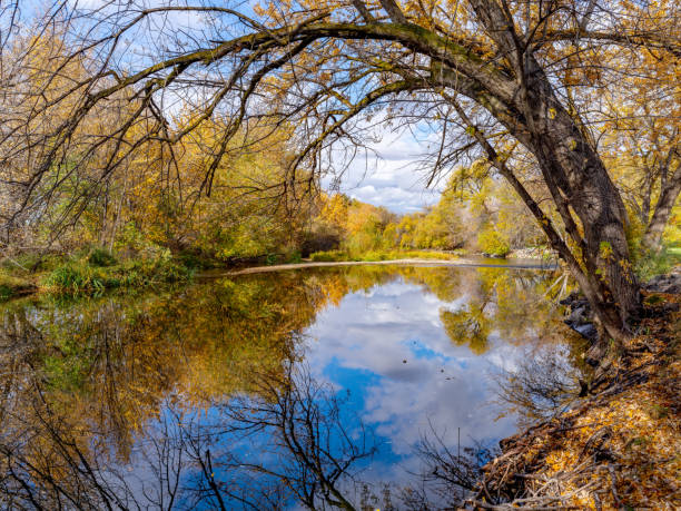 istock Beautiful nature scene on the Boise River autumn 1350443565