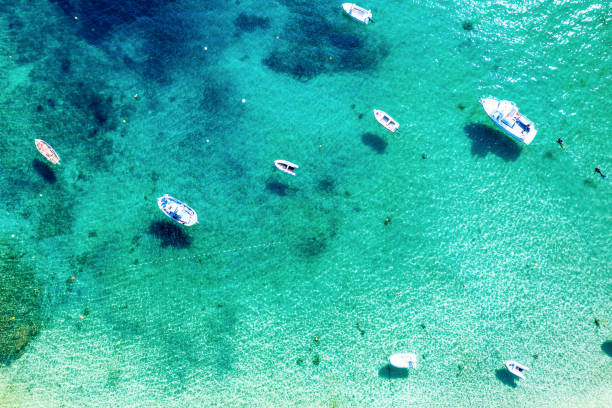 istock Tropical Mediterranean sea 1350444615