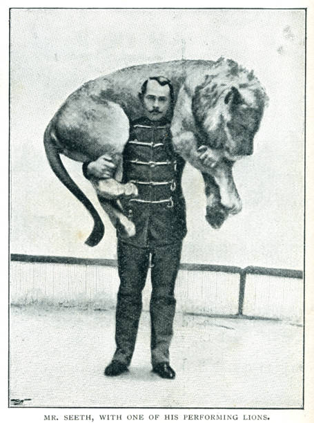 ilustraciones, imágenes clip art, dibujos animados e iconos de stock de carnival sideshow domador de leones en el siglo 19 - humor fotos