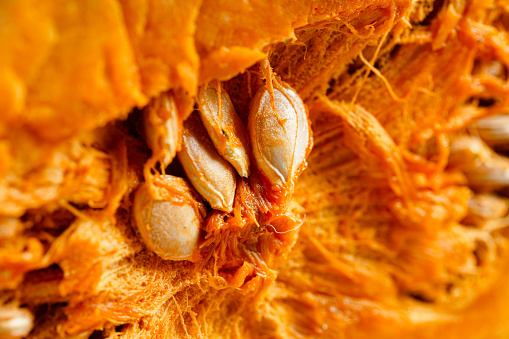 Pumpkin cut off to show the seeds inside close up