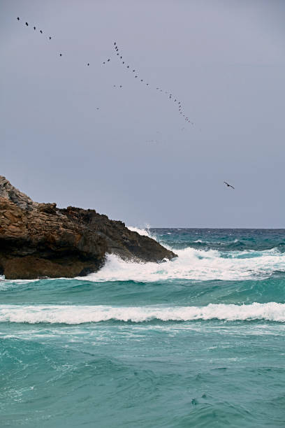 береговые скалы, потрепанные волнами. средиземное море - surface level water surface emotional stress water стоковые фото и изображения