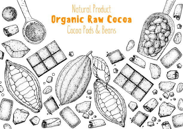 ?hocolate cooking and ingredients for chocolate, sketch illustration. Cocoa pod and cocoa products. Vector illustration. Super food frame. Healthy food, design elements. Hand drawn, package design.
