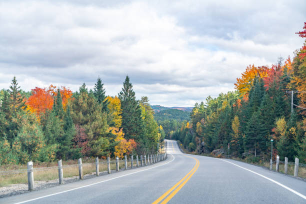 istock Fall colors Algonquin Provincial Park, Ontario, Canada 1350450944