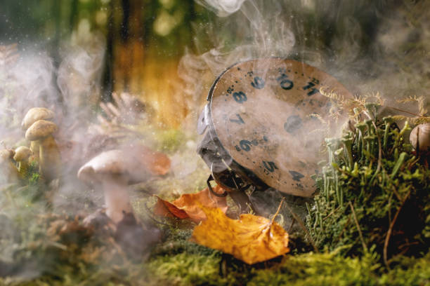 Fairy tale ambiance magical autumn forest background