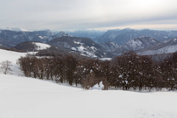 istock View of landscape in val cavargna 1350455541