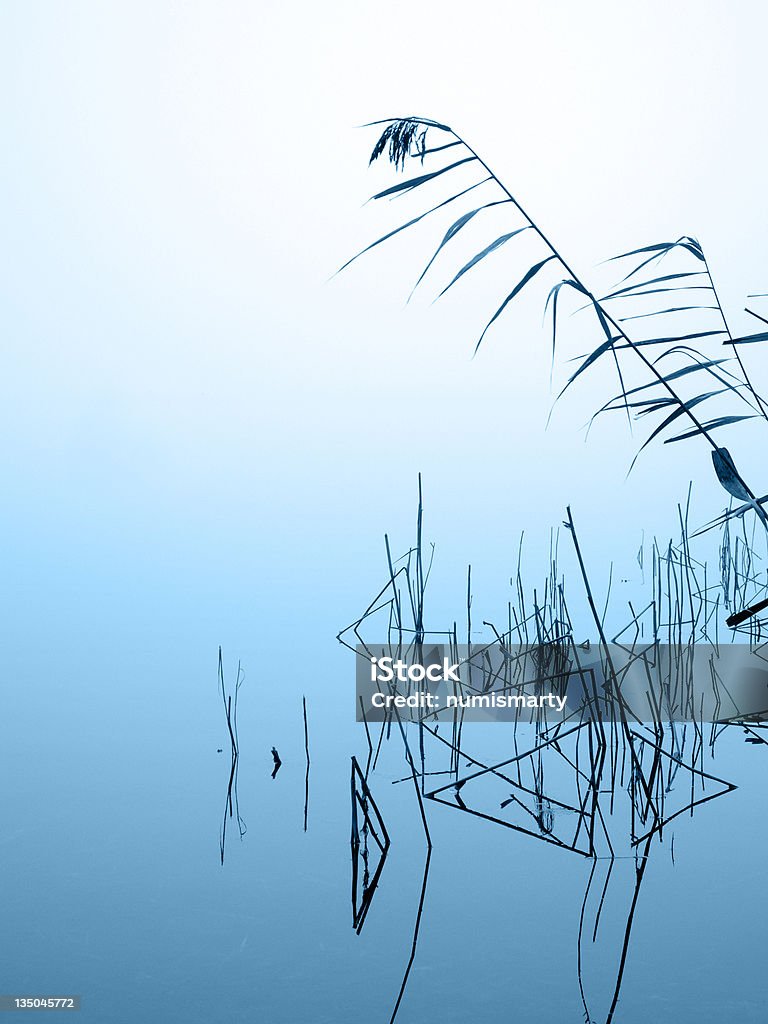 reed e acqua - Foto stock royalty-free di Acqua