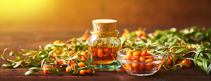 Glass bottle with sea buckthorn oil berries and sea buckthorn branches on wooden background. Long wide banner