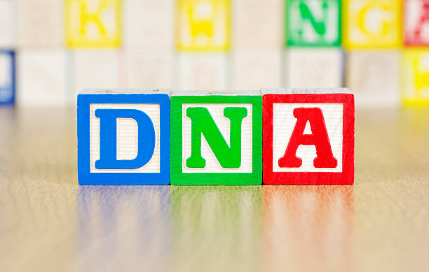istock DNA Spelled Out in Alphabet Building Blocks 135046201