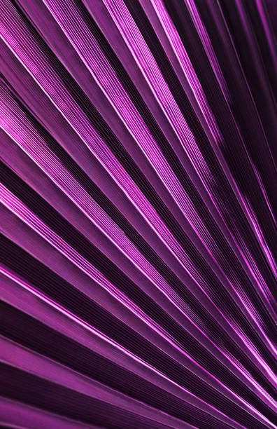 natural abstraction background banner palm leaves neon colors