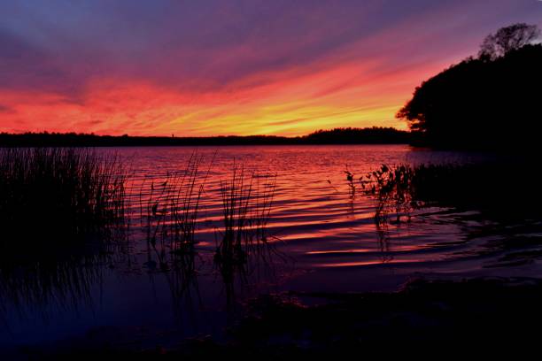 istock Sunset by the lake 1350472170