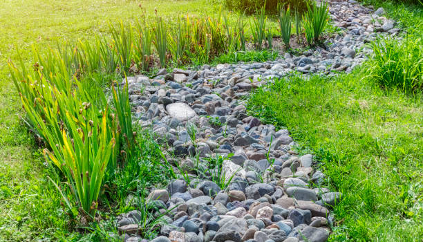 river from stone in a green garden - rock garden imagens e fotografias de stock