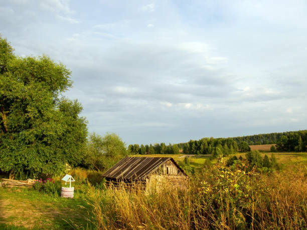 istock old barn among the trees in the village 1350473216