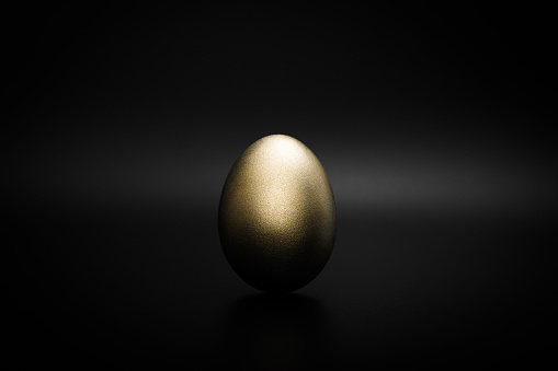 A golden egg - a symbol of financial success, wealth, luxury and luck.
