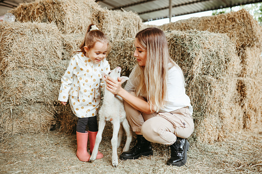 Adorable cute toddler girl and young mother feeding little goats and sheeps on a kids farm. Beautiful baby child petting animals in the zoo. Woman and daughter together on family weekend vacations