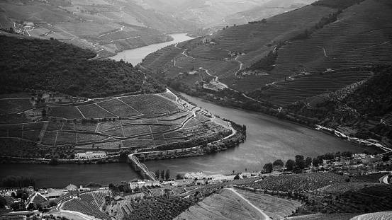 Top view of river, and the vineyards are on a hills, Douro Valley, Portugal. Black and white photo.