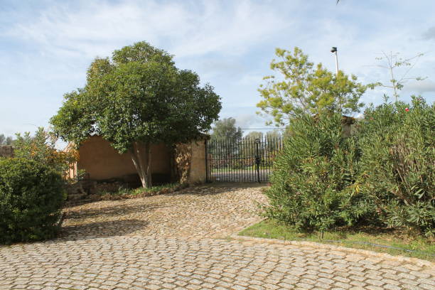 istock The way: Binissalem village to Biniagual village 1350485946