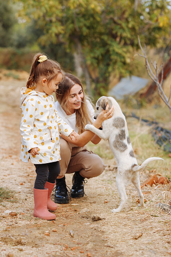 Adorable cute toddler girl and young mother feeding little goats and dog on a kids farm. Beautiful baby child petting animals in the zoo. Woman and daughter together on family weekend vacations