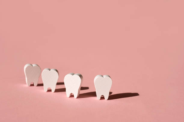 Teeth stand in a row on a pink background with a deep shadow Four fake teeth stand in a row on a pink background with a deep shadow - the concept of dental health. dental hygiene products. Model of human teeth snow white and the seven dwarfs photos stock pictures, royalty-free photos & images