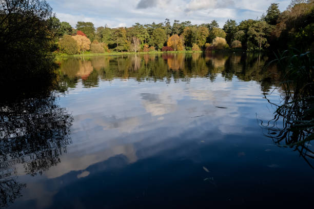 istock Reflection of sky and  trees in a lake 1350489777