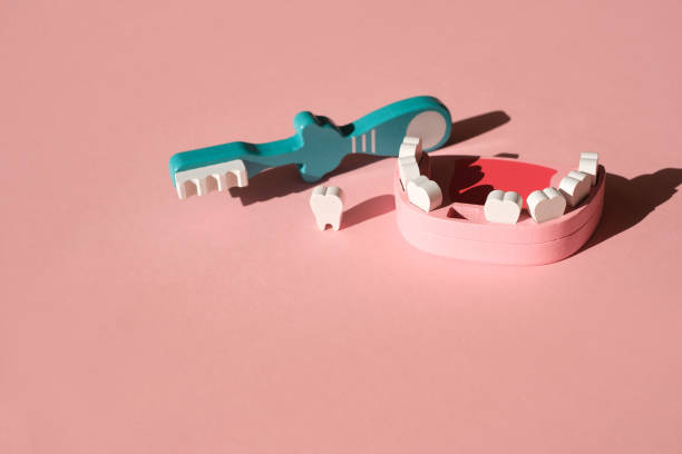 istock Model of a jaw with a fallen tooth and a toothbrush 1350490148