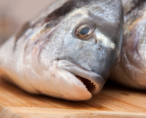 istock Fresh Dorada fish on wooden Background 1350491123
