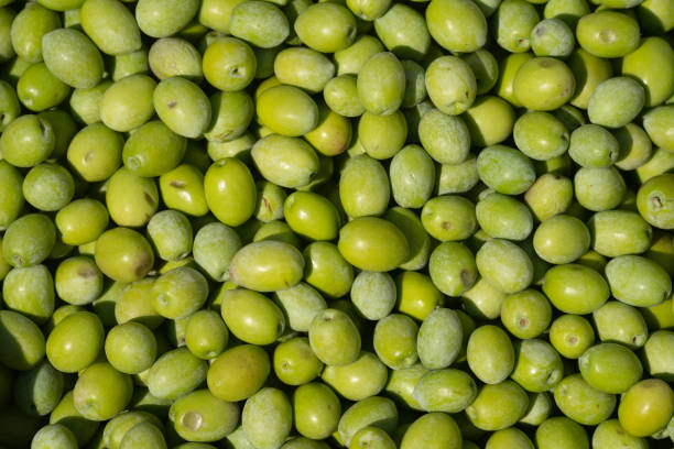photo plein cadre d’olives vertes crues - olive verte photos et images de collection