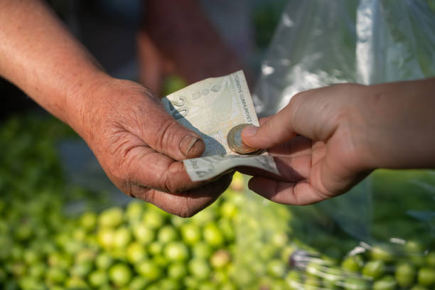 Close Up Photo Buyer's And Sellers Hands Exchanging Money On Green Raw Olives stock photo