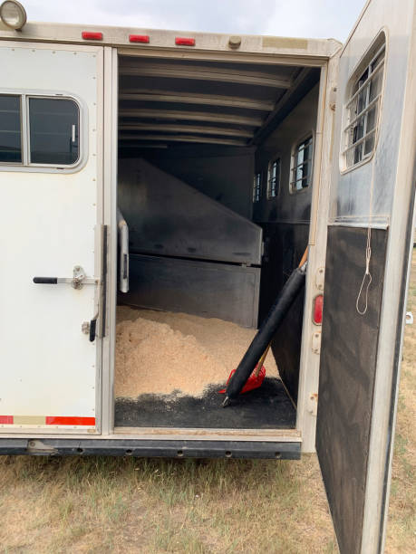 istock Clean and wash your horse trailer 1350493901