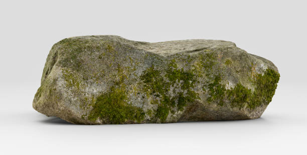 istock Realistic and detailed hi-res rock model with mossy surface on the white background, 3d Rendering 1350497139