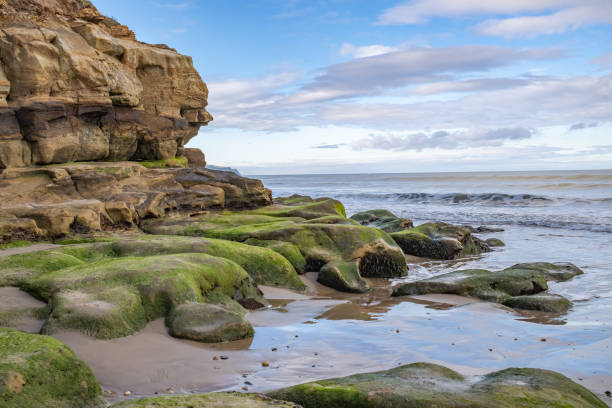istock Rocks on the bay in Whitby, North Yorkshire 1350497194