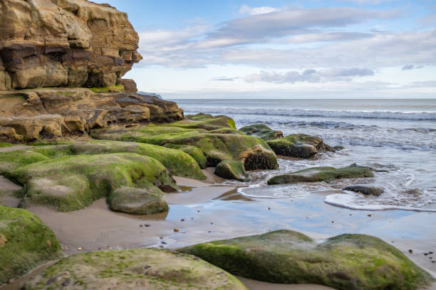 istock Rocks on the bay in Whitby, North Yorkshire 1350497195