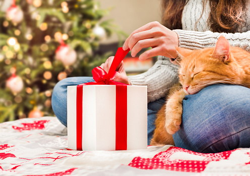 woman sitting on bed with ginger cat opens christmas gifts