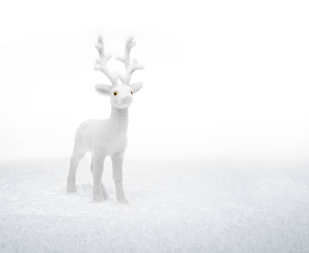 istock small white deer standing in the snow 135050701