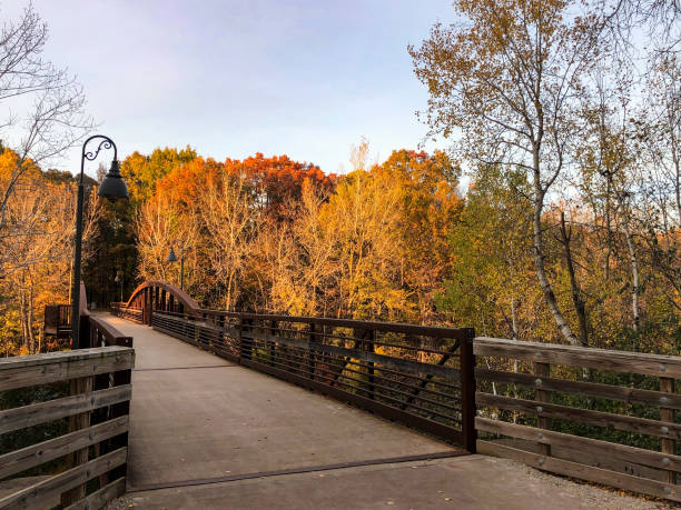 istock Gorgeous autumn colors in Wisconsin 1350509772