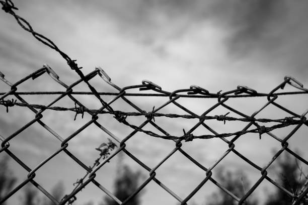 istock Barbed wire fence at a property border 1350509826