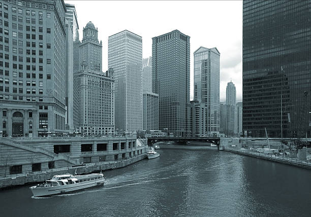 istock Chicago River and Skyscrapers (monochrome) 135051444