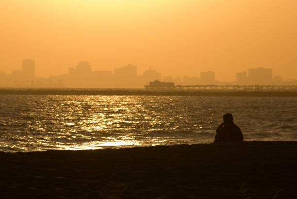 istock Person looking at the beach and city skyline 135051607