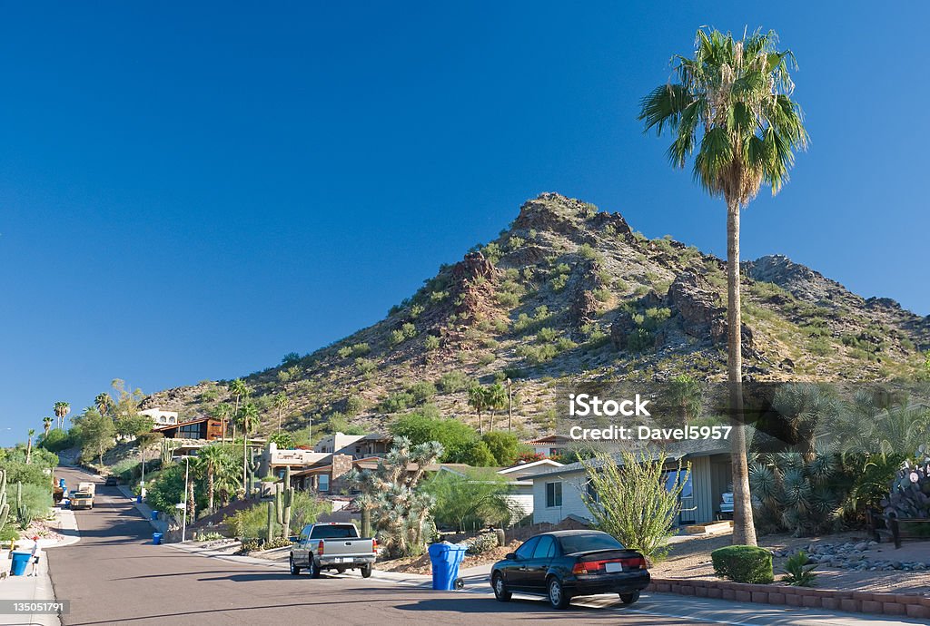 Phoenix quartiere - Foto stock royalty-free di Albero