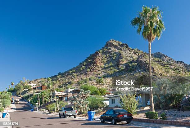 Phoenix Quartiere - Fotografie stock e altre immagini di Albero - Albero, Arizona, Calore - Concetto