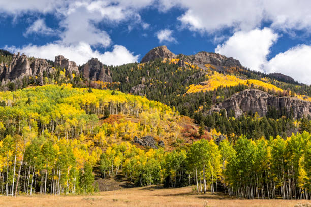 istock Stony Ridge Autumn in Uncompahgre National Forest 1350518359