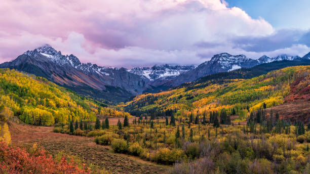 willow swamp valley twilight panorama - uncompahgre national forest foto e immagini stock