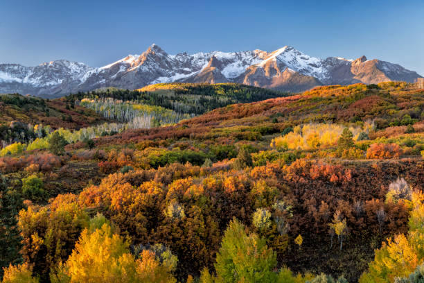 dallas divide vivid mountainside prima luce - uncompahgre national forest foto e immagini stock