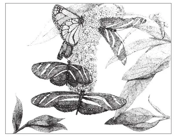 Vector illustration of Black Butterflies on flowers in stippled pen & ink