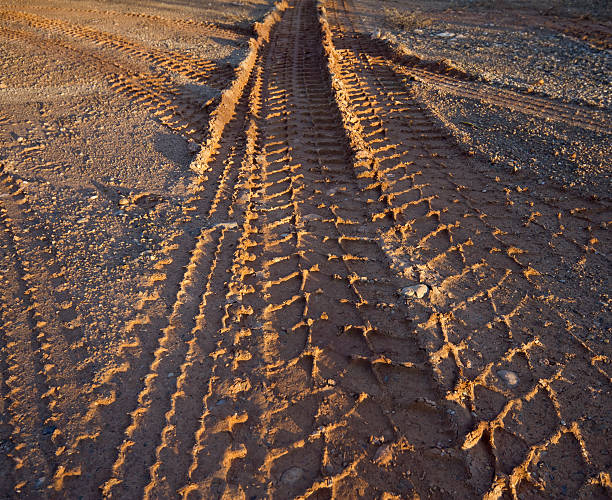 impressões de um pneu na lama - mud road tire track footpath imagens e fotografias de stock