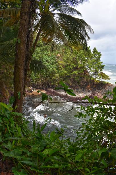 istock Oceanview from a Forest Hiking Trail, Blanchisseuse, Trinidad 1350525370