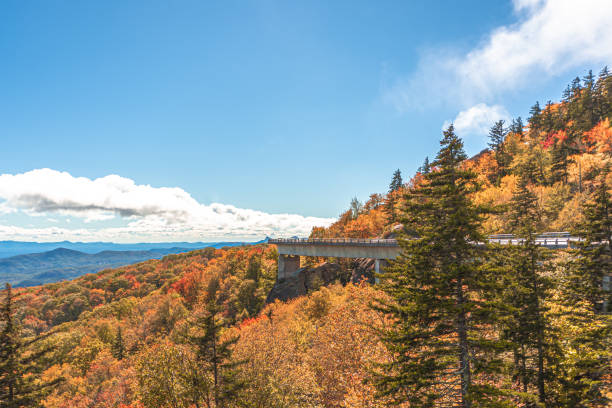 istock Blue Ridge Parkway in fall season. 1350531783