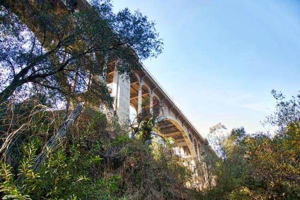 istock Colorado Street Bridge - Pasadena, California 1350539227