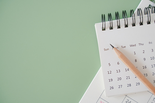 vista superior del calendario blanco y lápiz marrón afilado sobre fondo verde, horario, línea de tiempo, concepto de planificación photo