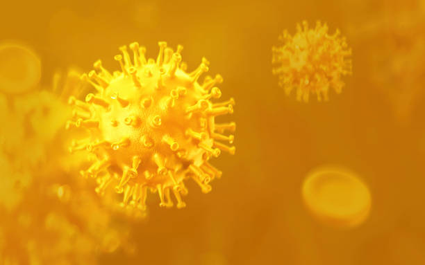 istock 3d rendering of Coronavirus COVID-19 and blood cell  under the microscope. 3d illustration 1350552221